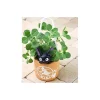 Décoration*Maison Ghibli PLANTER JIJI -KIKI'S DELIVERY SERVICE