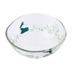 Kitchenware*Maison Ghibli Transparent bowl 13cm Chasing - My Neighbor Totoro
