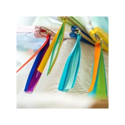 Accessories*Maison Ghibli Transparent Pouch embroidered - Kiki’s Delivery Service